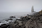 Камчатка. Остров Старичков. Туманным утром на берегу