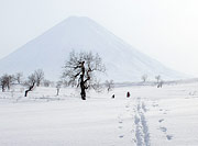 Лыжный поход Ключи-Петропавловск. К Ключевскому вулкану