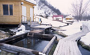 Лыжный поход Ключи-Петропавловск. На базе Тумрок